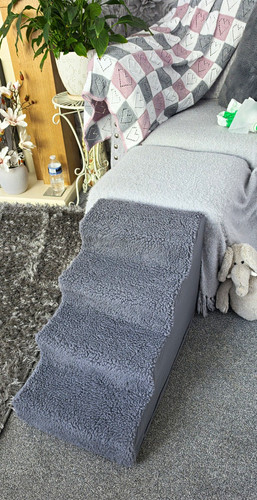 Grey dog cat pet stairs - dog,, cat,
