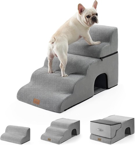 Cozy kiss dog stairs with - dog,