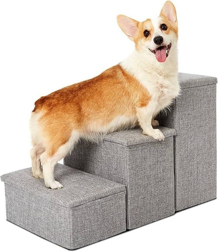 Pet awesome dog - pet, stairs