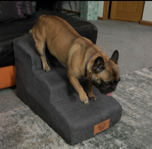 Pet dog stairs steps for - 3,