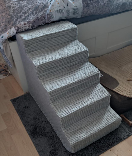 Dog steps for - dog, 5-step