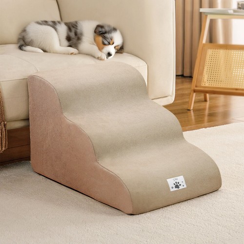 Dog stairs pet - dog, steps